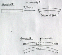 Skizze: Poisson-Effekt an der Osage-Latte plus Bauchbildung an der Bambuslatte.