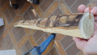 Unter der Rinde hat sich das Holz etwas verfärbt, ist aber nur eine dünne Schicht, die sich wegschleifen lässt....