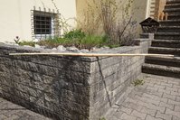 DSC07074.JPG