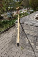 DSC07076.JPG