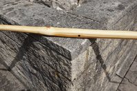 DSC07075.JPG