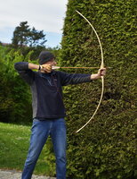 HiBa Auszugsbild.JPG