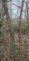 Habitat