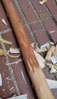Der Sauerstoff arbeitet