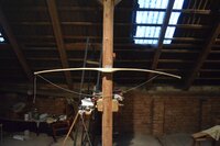 hasel15.jpg (314.93 KiB) 5845 mal betrachtet Direkt nach dem Ausziehen