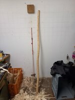 IMG-20220104-WA0013.jpg