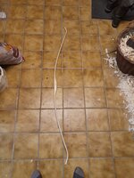 20220112_193732.jpg (1.01 MiB) 3772 mal betrachtet Nach drei Tagen im Wohnzimmer ist das Gewicht gefallen: 473gr-464gr-461gr-460gr. Anschließend weiter die Wurfarme bearbeitet und mal probehalber Aufgespannt. Die äußeren Bereiche biegen noch zu wenig. Aber ich hab ja noch n Monat Zeit :)