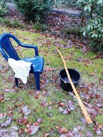 Mit Wasser und Bürste gewaschen und trockengewischt