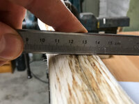 3redoak-ruecken.jpg (1.57 MiB) 6046 mal betrachtet Schlecht zu fotografieren, manche Furchen sind v-förmig.