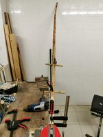 25.1.2ß22 Traubenkirsche vor dem Richten.jpg