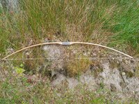 20220611_122502.jpg (1.54 MiB) 2808 mal betrachtet Standhöhe