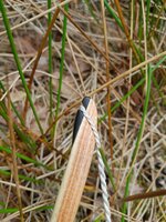 20220611_122603.jpg (875.1 KiB) 2808 mal betrachtet Nocke oben