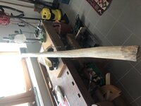 Gesamtansicht Bogenrücken