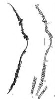 08.jpg (342.05 KiB) 6711 mal betrachtet Quelle: "Scythian Archers of the 4th Century BC", Marina Daragan