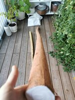 Hartriegel_Bast.jpg