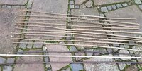 unten die beiden Kirschpflaumen-Stängel