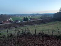 Hier war mal Wald