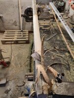 die Breite auf 5cm zugeschnitten und entrindet