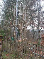 Nach dem Schnitt