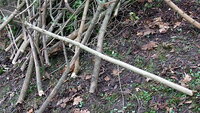 DSCF3040.JPG