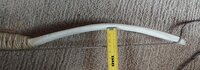 _20230120_095549.JPG