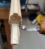 mit dem kleinen Löffelmesser die Haselreste aus der Sehnenlage entfernen