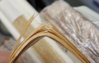 Reststück Kirschpflaume zerbrochen, bricht fast wie Bambus, gefällt mir sehr gut