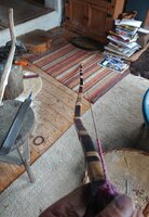 _20230128_103243.JPG