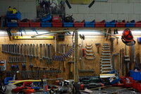 Ahorn Standhöhe, zu stark, zu steif links