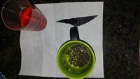 Tee + Eisenacetat.jpg (858.94 KiB) 4996 mal betrachtet Selbst hergestelltes Eisenacetat, stark verdünnte Lösung, grüner Tee und das zuvor hergestellte Teststückchen Ziegenrohhaut