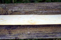 Risse am Rücken, die selbe Stelle