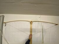 IMG_1032.jpg