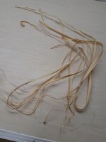 Abgezogener Ulmenbast vom gleichen Rohling