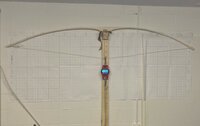 IMG_1125.jpg