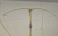IMG_1136.jpg