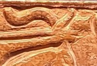 _20230307_130906.JPG