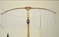 IMG_1354.jpg