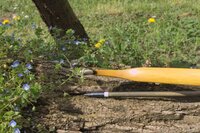 2023-04-09_Osage1_09_Overlay2.jpg (1.02 MiB) 4194 mal betrachtet Recurve von oben mit 5/16 Pfeilspitze