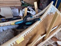 IMG_9154.jpeg