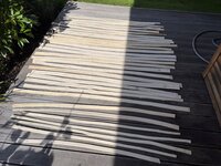 IMG_9161.jpeg
