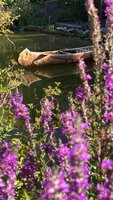 IMG_9210.jpeg