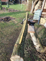 20240101_114951.jpg (1001.48 KiB) 4400 mal betrachtet und nochmal eine Gesamtansicht, noch über 2m lang