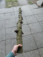 Rohling 3 andere Seite