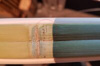 Riss im Bambus Standhöhe.JPG