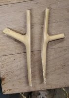 Kornelkirsche Astgabel gespalten, bereit zum trocknen.