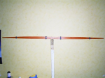 RIMG0031.JPG