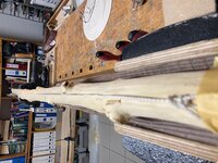 IMG_3678.JPG