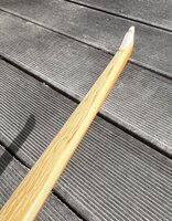 IMG_1124.jpeg