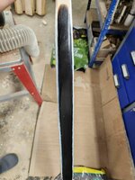 Bauchseite