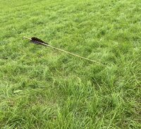Immerhin wurden im Weitwurf die 60m geknackt